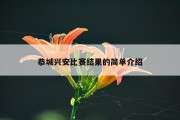 恭城兴安比赛结果的简单介绍