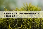 谷爱凌比赛时间，谷爱凌比赛时间表2026比赛结束了吗