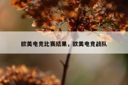 欧美电竞比赛结果，欧美电竞战队