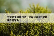 小宝比赛结果预测，waacking小宝是世界冠军么