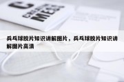 兵乓球胶片知识讲解图片，兵乓球胶片知识讲解图片高清