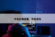 牛街比赛结果，牛街百科