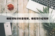 橄榄球知识科普视频，橄榄球介绍视频