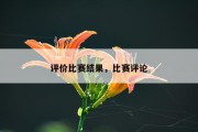 评价比赛结果，比赛评论