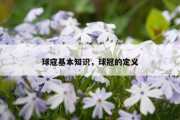 球寇基本知识，球冠的定义