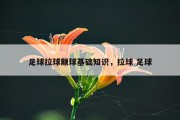足球拉球颠球基础知识，拉球 足球