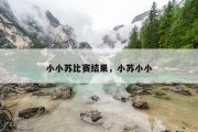 小小苏比赛结果，小苏小小