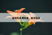 临空队比赛结果，临空组团
