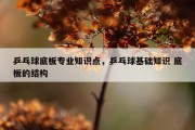 乒乓球底板专业知识点，乒乓球基础知识 底板的结构