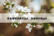 羽毛球知识简介ppt，羽毛球介绍ppt