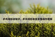 乒乓球扣杀知识，乒乓球扣杀技术慢动作视频