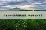 羽毛球知识合集图片高清，羽毛球小知识点