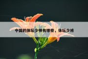 中国的体坛少帅有哪些，体坛少将