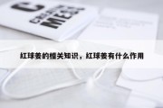 红球姜的相关知识，红球姜有什么作用