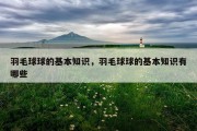 羽毛球球的基本知识，羽毛球球的基本知识有哪些