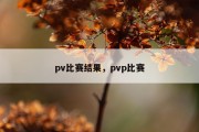 pv比赛结果，pvp比赛