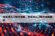 羽毛球入门知识讲解，羽毛球入门知识讲解图片