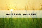 羽毛球竞赛小知识，羽毛球比赛知识