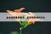 音乐球的基本知识，音乐球游戏叫什么