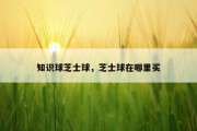 知识球芝士球，芝士球在哪里买