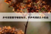 乒乓球需要学哪些知识，学乒乓球的几个阶段