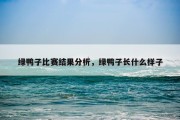 绿鸭子比赛结果分析，绿鸭子长什么样子
