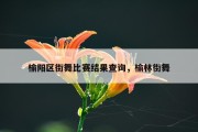 榆阳区街舞比赛结果查询，榆林街舞