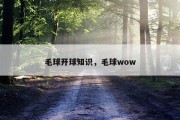 毛球开球知识，毛球wow