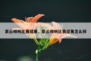 紫云唢呐比赛结果，紫云唢呐比赛结果怎么样