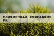 乒乓球知识与技能基础，乒乓球的基本知识与技能