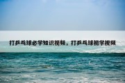 打乒乓球必学知识视频，打乒乓球初学视频