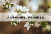 乒乓球小知识横拍，乒乓球横拍手法