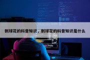 刺球花的科普知识，刺球花的科普知识是什么