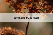 球团培训知识，球团流程