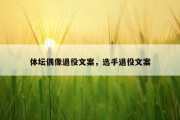 体坛偶像退役文案，选手退役文案