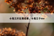 小鬼三斤比赛结果，小鬼三个mv