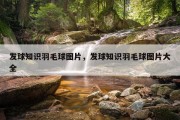 发球知识羽毛球图片，发球知识羽毛球图片大全