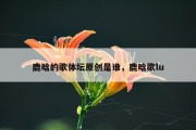 鹿晗的歌体坛原创是谁，鹿晗歌lu