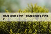体坛集团市值多少亿，体坛集团市值多少亿美元