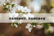 羽毛球标准知识，羽毛球标准术语