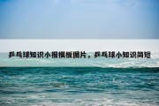 乒乓球知识小报模板图片，乒乓球小知识简短