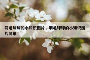 羽毛球球的小知识图片，羽毛球球的小知识图片简单