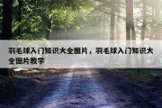 羽毛球入门知识大全图片，羽毛球入门知识大全图片教学