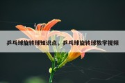 乒乓球旋转球知识点，乒乓球旋转球教学视频
