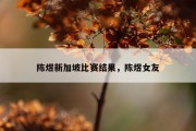 陈煜新加坡比赛结果，陈煜女友