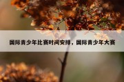 国际青少年比赛时间安排，国际青少年大赛