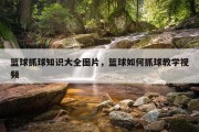 篮球抓球知识大全图片，篮球如何抓球教学视频
