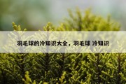 羽毛球的冷知识大全，羽毛球 冷知识