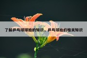 了解乒乓球球拍的知识，乒乓球拍的相关知识