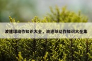 波速球动作知识大全，波速球动作知识大全集